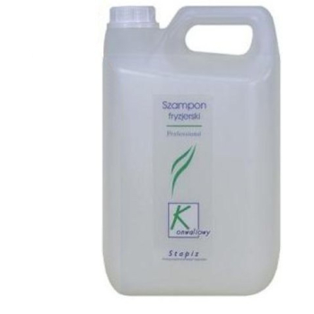 STAPIZ SZAMPON FRYZJERSKI RÓŻNE DO WYBORU 5L  